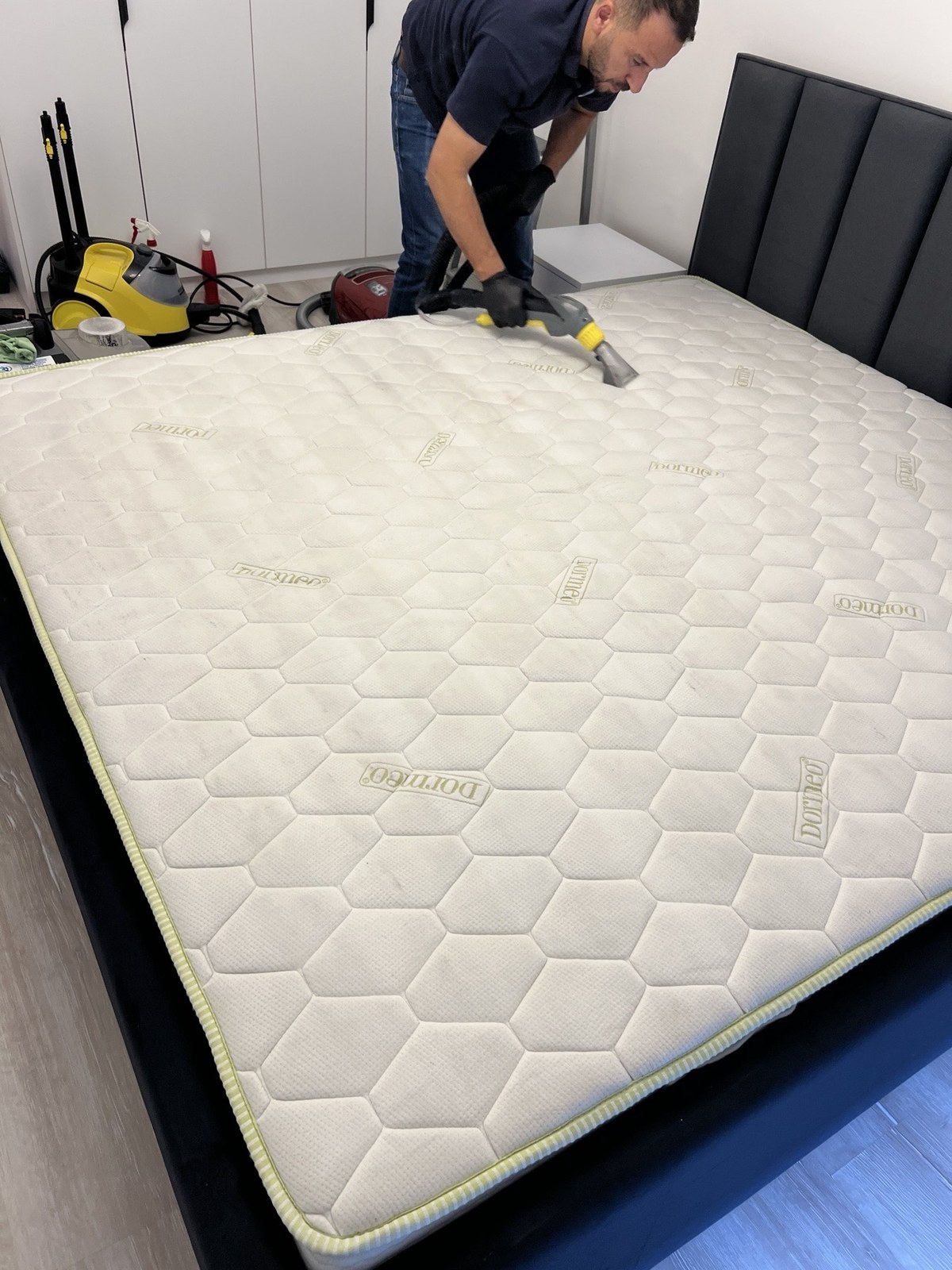 Carpet & Upholstery
