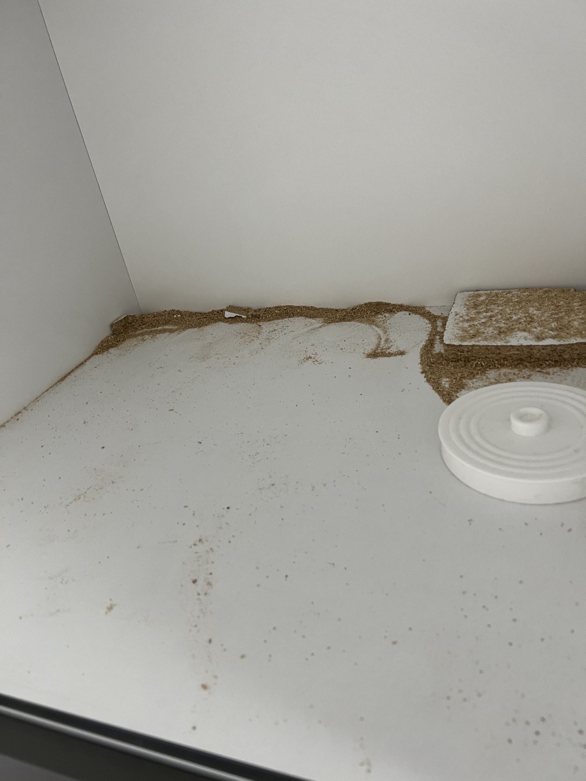 Deep Cleaning
